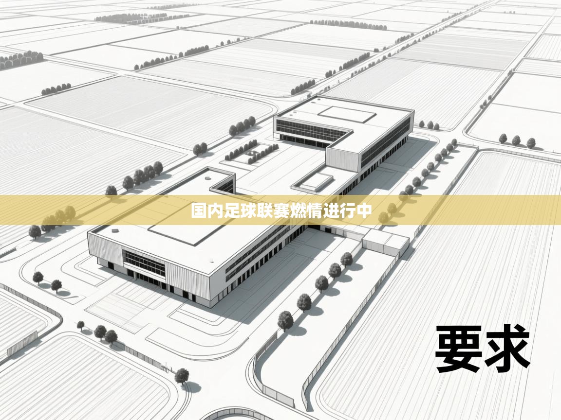 国内足球联赛燃情进行中  第2张