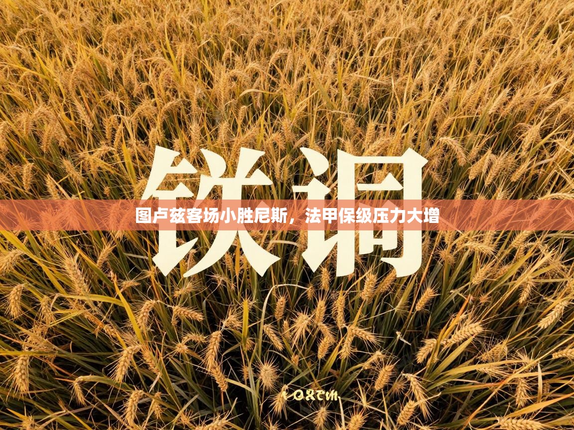 图卢兹客场小胜尼斯,法甲保级压力大增 第2张