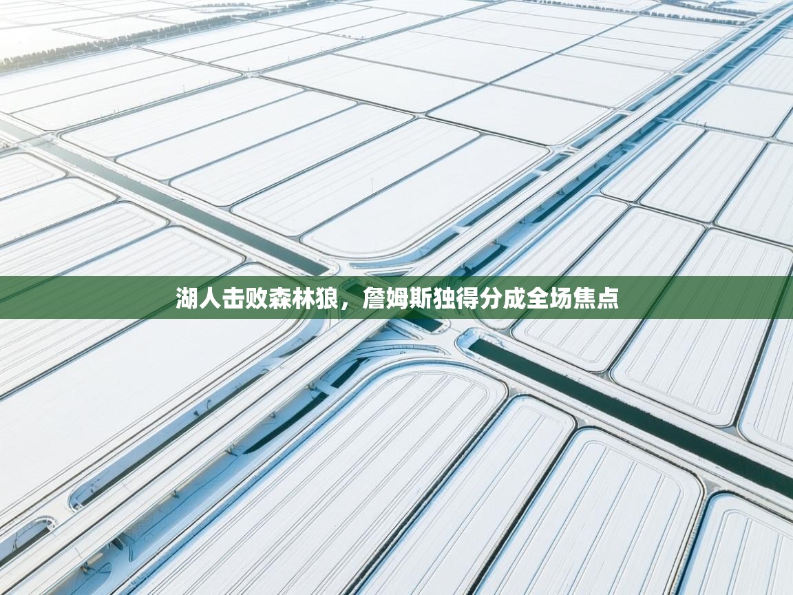 湖人击败森林狼，詹姆斯独得分成全场焦点  第2张