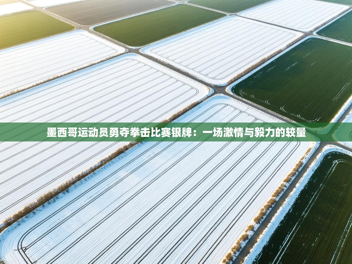 墨西哥运动员勇夺拳击比赛银牌：一场激情与毅力的较量  第1张