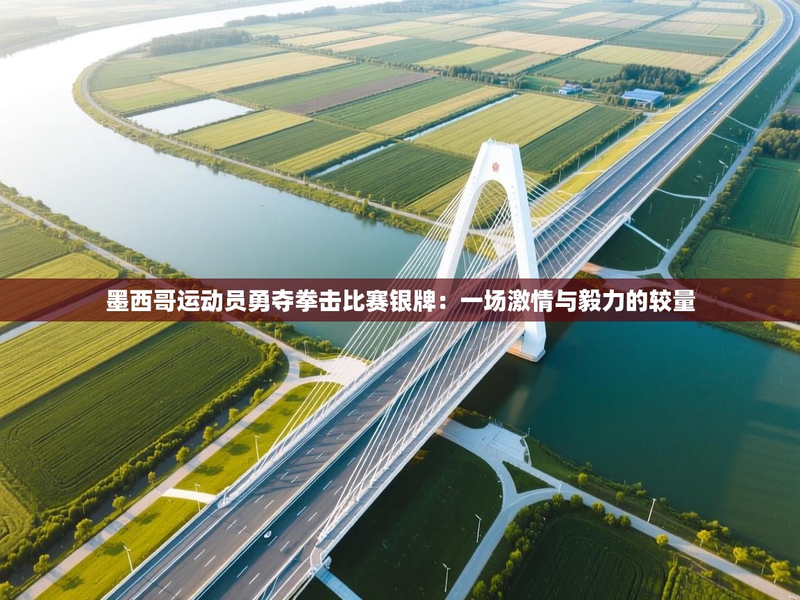 墨西哥运动员勇夺拳击比赛银牌：一场激情与毅力的较量  第2张