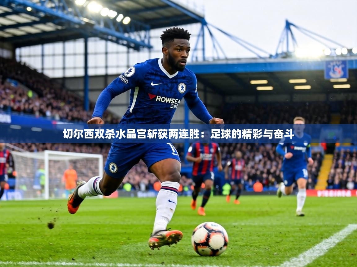 切尔西双杀水晶宫斩获两连胜：足球的精彩与奋斗  第2张